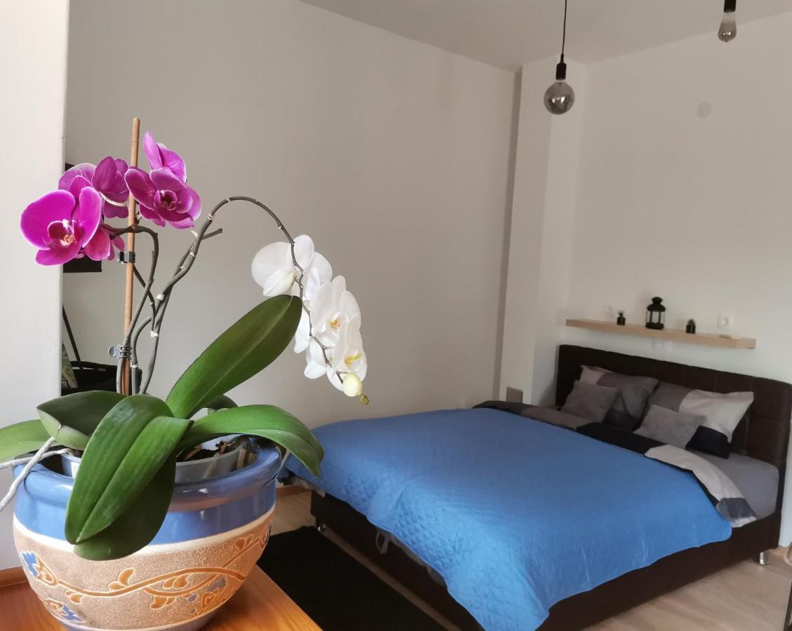 Apartments Sandra 로브란 외부 사진